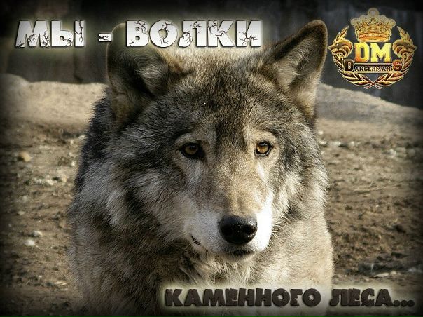 №7, Александр Тушин, 47 лет, Калининград №7, Александр Тушин, 47 лет, Калининград