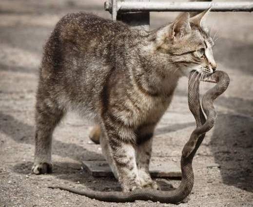 Любовь Макаренко | Санкт-Петербург