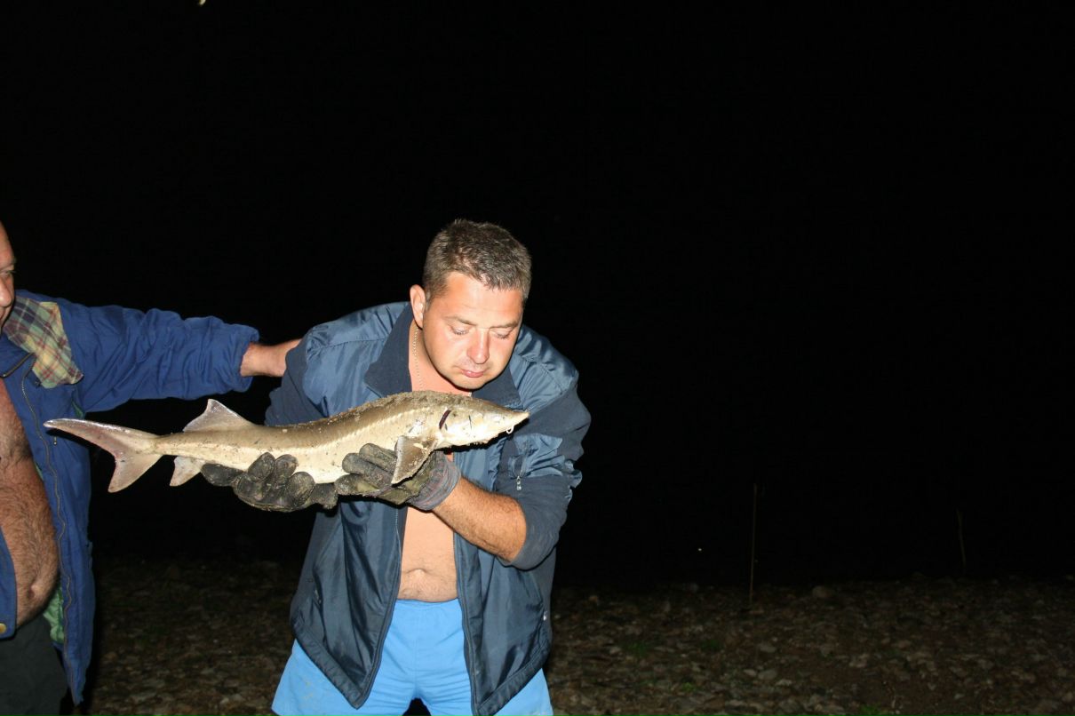 Роман Баранников | Воронеж