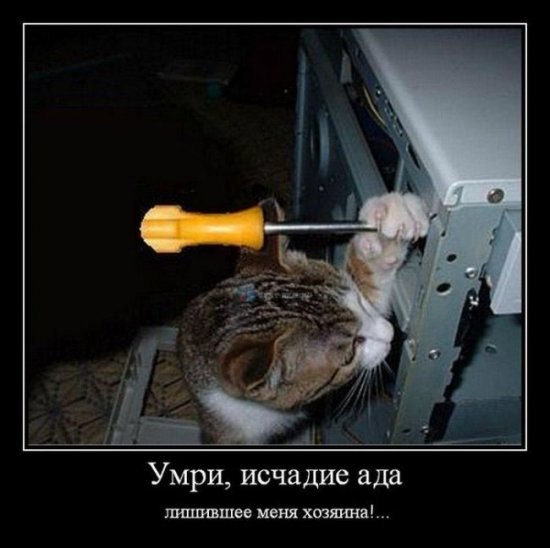 Кирилл Иванов | Москва