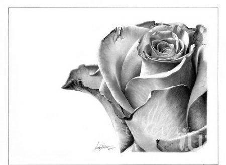 №49, Юра Комаркин, Ровно №49, Юра Комаркин, Ровно