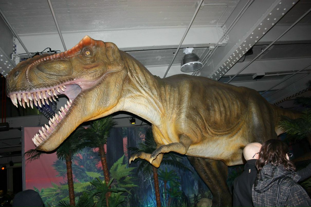 Светлана Димитрашко | Montréal