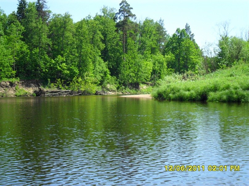 Sergei Shazamov | Нижний Новгород