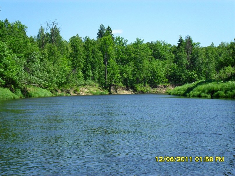 Sergei Shazamov | Нижний Новгород