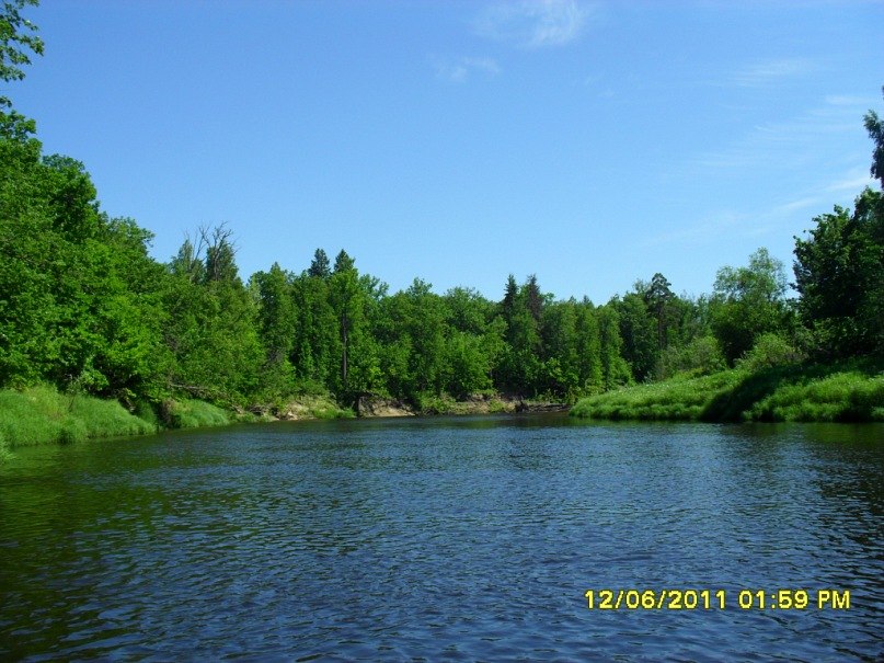 Sergei Shazamov | Нижний Новгород