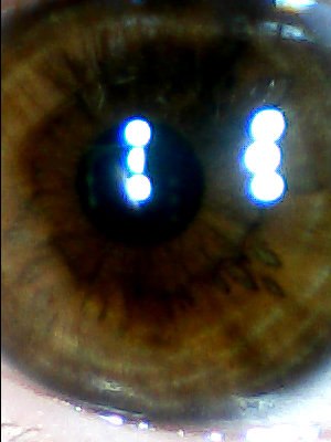 Евгений Суворов FILIN | Нижний Конец