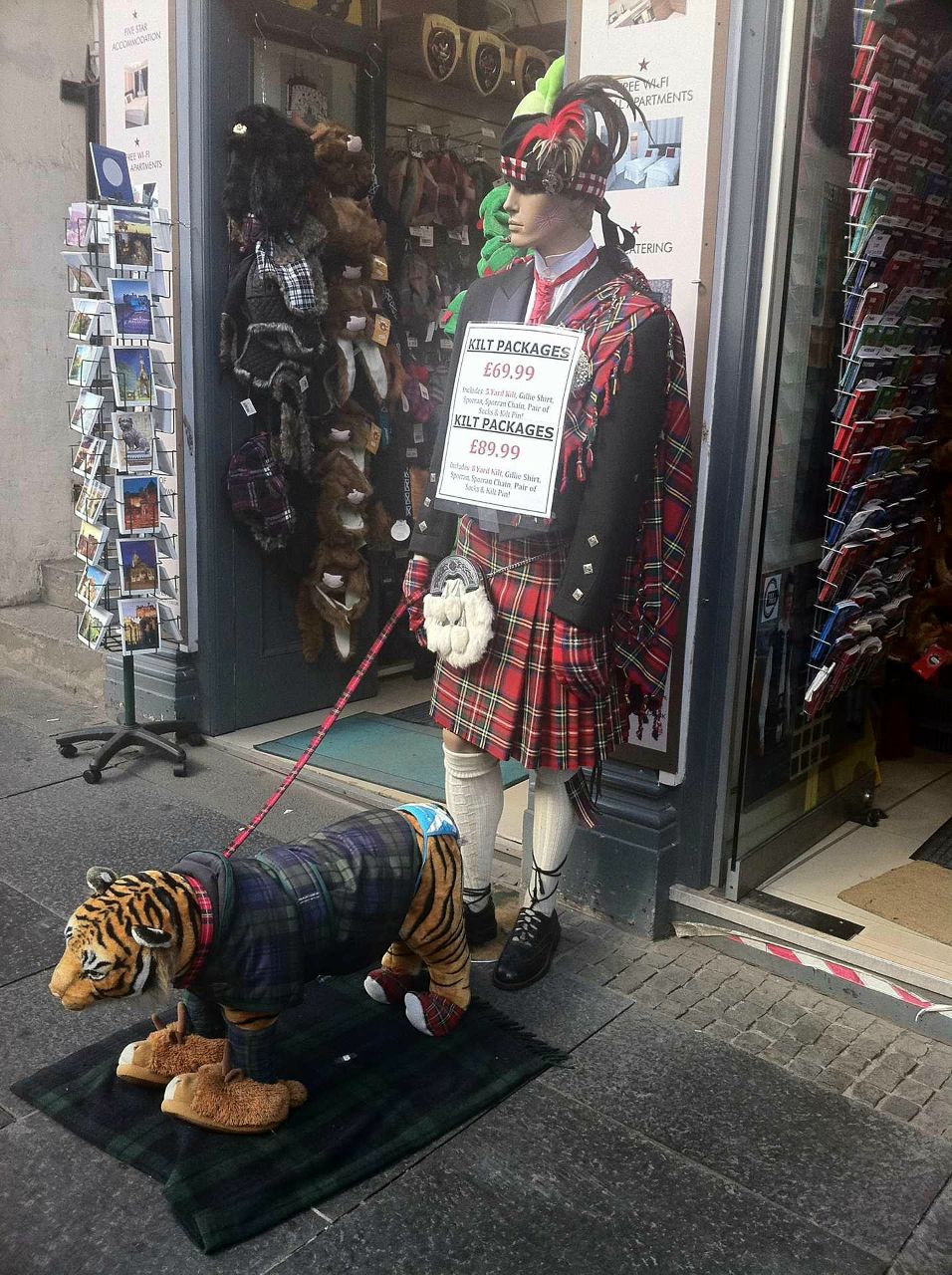 Екатерина Тимофеева | 