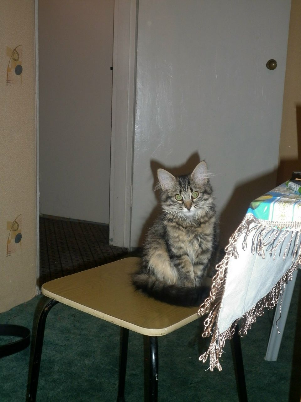 Ксения Мищенко | Никель