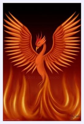 Неля Никитенко | Кременчуг