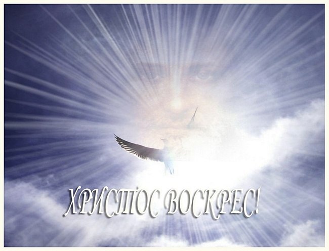 Володимир Фурман Furmann | Тернополь