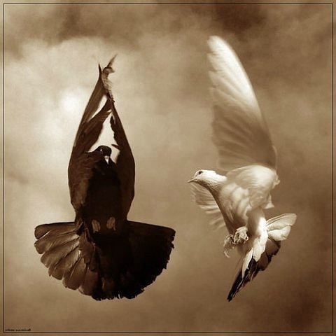 №78, Юлия Гвоздецкая, Умань №78, Юлия Гвоздецкая, Умань