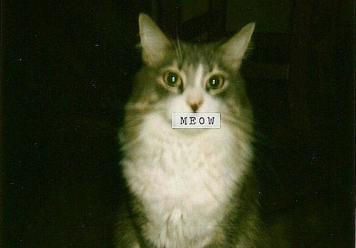 Мария Салфетникова | 