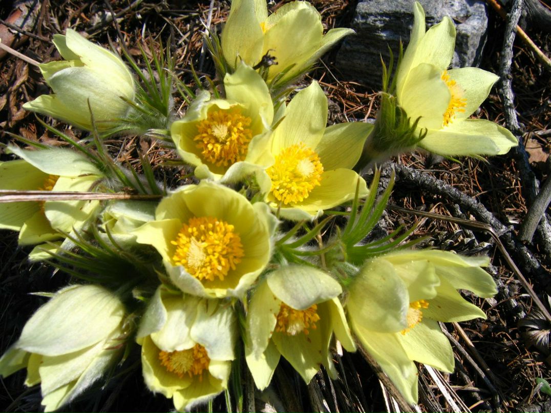 Ильсен Юмагужин | Уфа