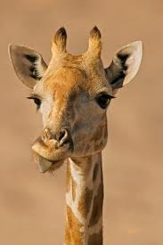 №194, Анюта Прасолова, 33 года, Харьков №194, Анюта Прасолова, 33 года, Харьков