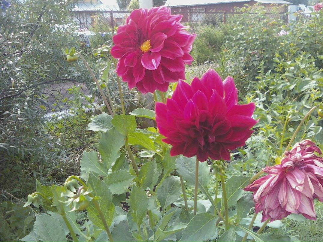 Ирина Ткаченко | Кемерово