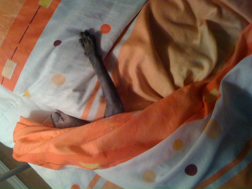 №12, Альбина Галиуллина, Тюмень №12, Альбина Галиуллина, Тюмень