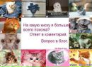 Фотография Екатерина Миронович