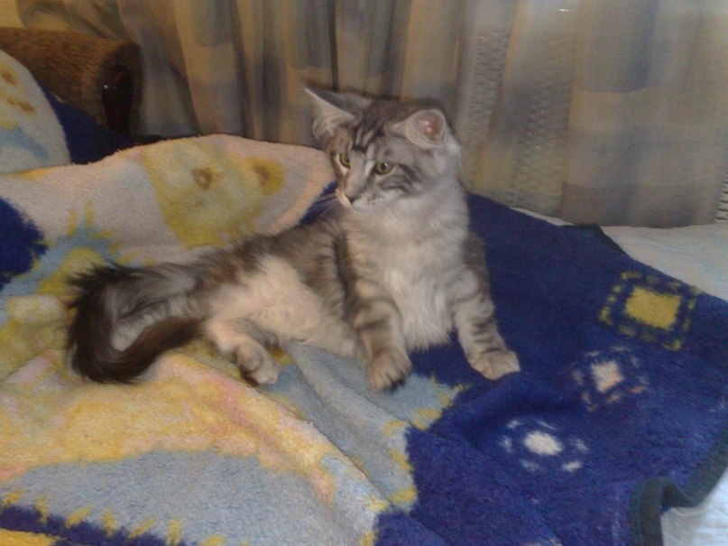 Сергей Бурин | Москва