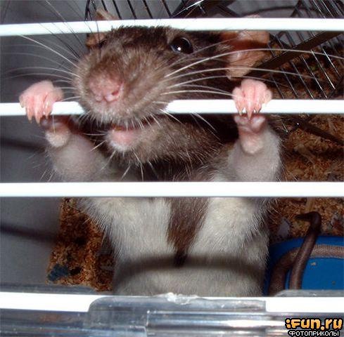 №3, Валера Лякишев №3, Валера Лякишев