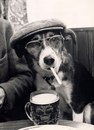 Фотография Haimi Kirill