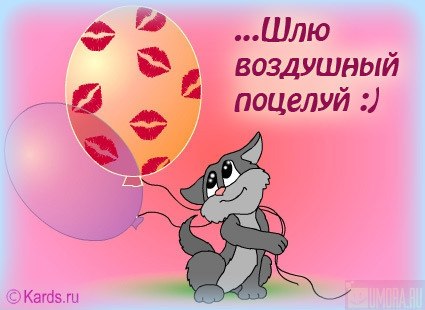 Лилиана Медведева | Красноярск