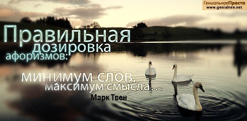 №5, Ирина Ткачева №5, Ирина Ткачева