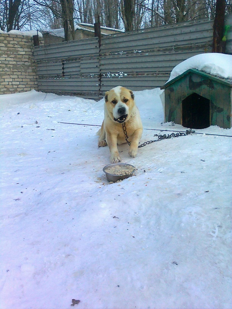 Андрей Козюлин | Калуга