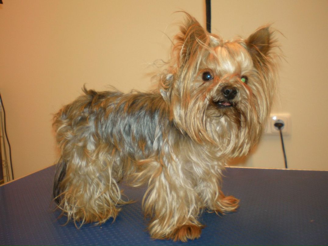 Ольга Ояла | Таллин