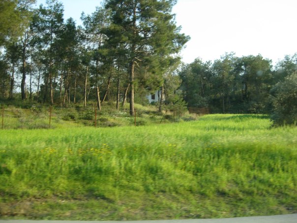 №82, Nikos Vassiliou, Nicosia №82, Nikos Vassiliou, Nicosia