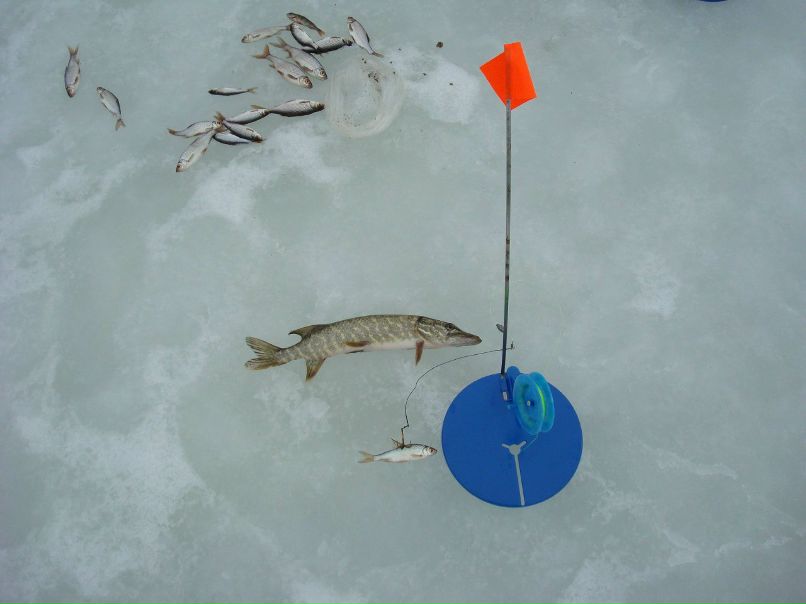 Андрій Ковальчук | Киев