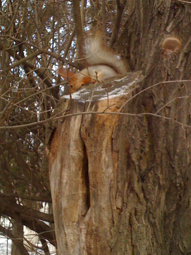 Александр Прокопенко | Одесса