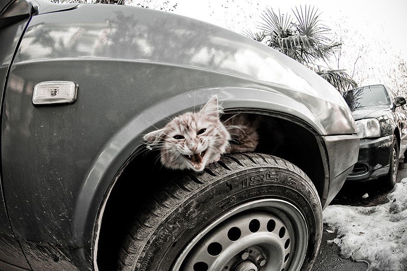 Roman Ouman | Анадырь