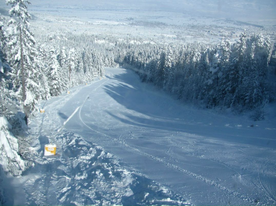 Данила Куроян | Москва