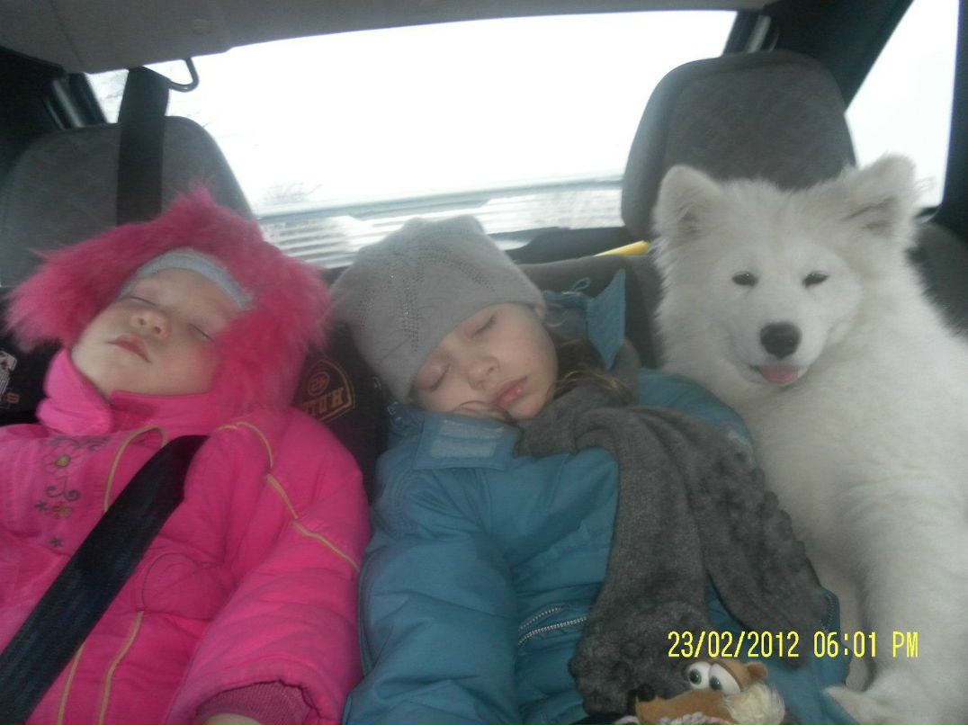 Александр Китаев | Кириши