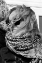 Татьяна Безмолитвенная, Ставрополь, Россия, 