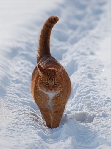 №85, Сергей Радченко, 43 года, Одесса №85, Сергей Радченко, 43 года, Одесса