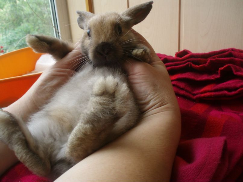 Антон Шовкун | Киев