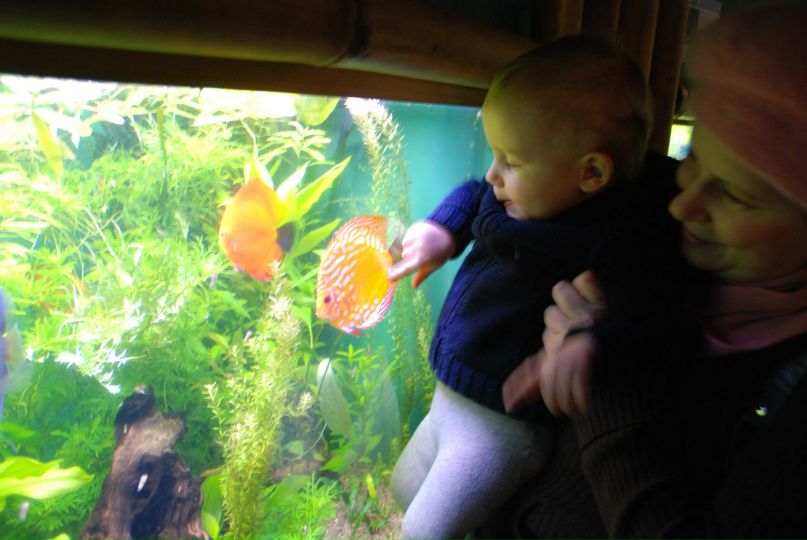 Александр Иванов | Санкт-Петербург