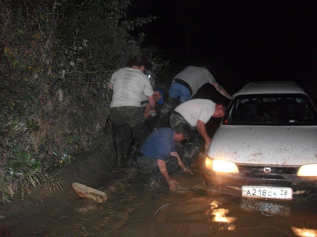 Лилия Щекина | 