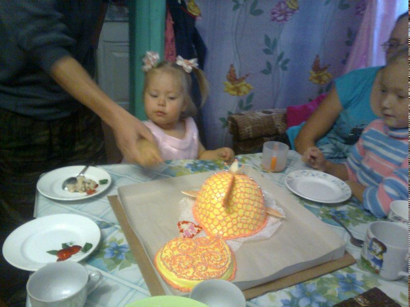 Елена Лысенкова | Шенкурск