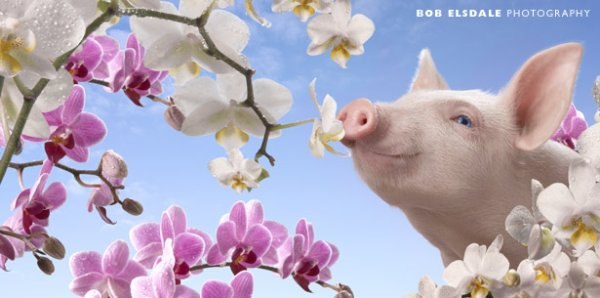 Юлия Чижикова-Безбожная | Санкт-Петербург