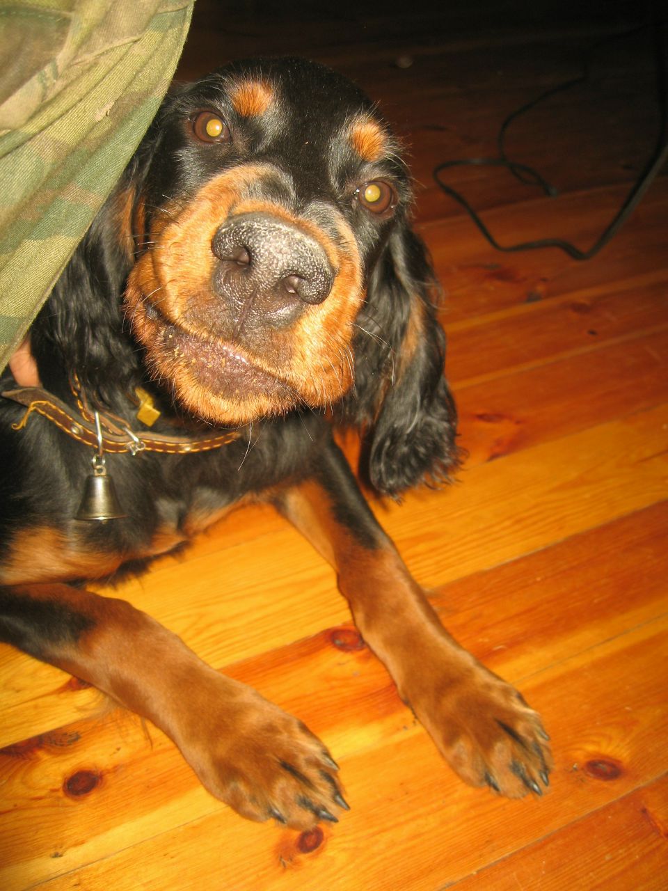 Vladimir Еременко | 