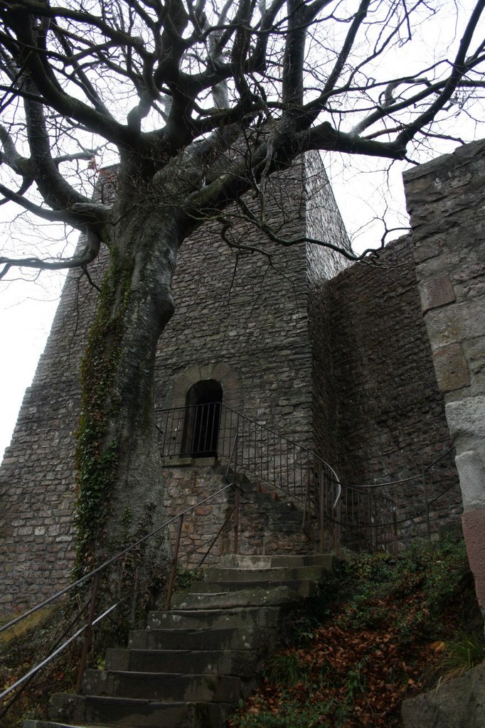 Наташа Малеева | Москва