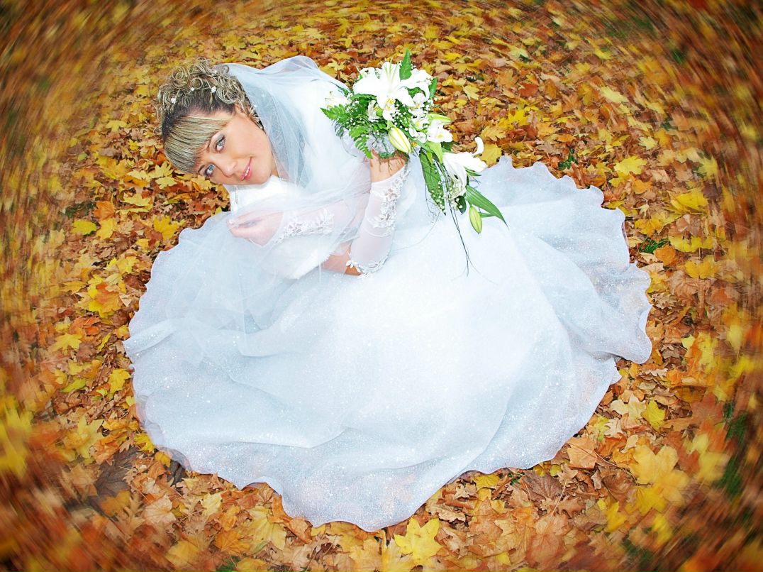 Лена Калинина | 