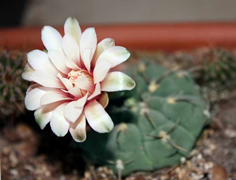 №64, Hanna Pulina, Киев №64, Hanna Pulina, Киев