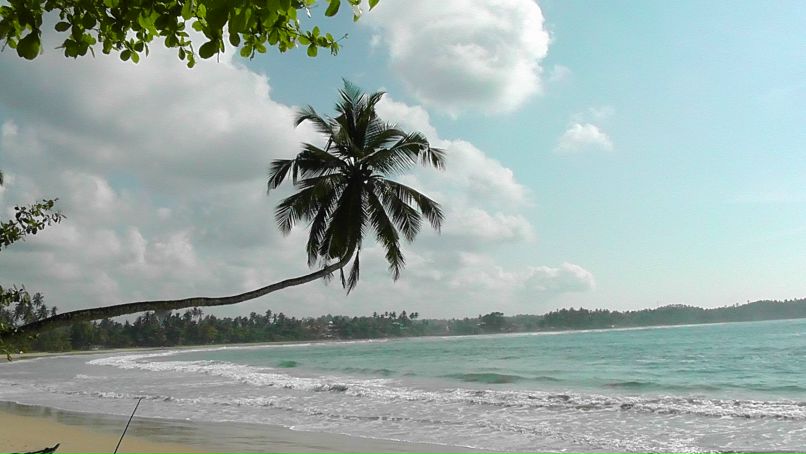 Ольга Полич | Киев