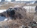 Егор Колотов фотография #24