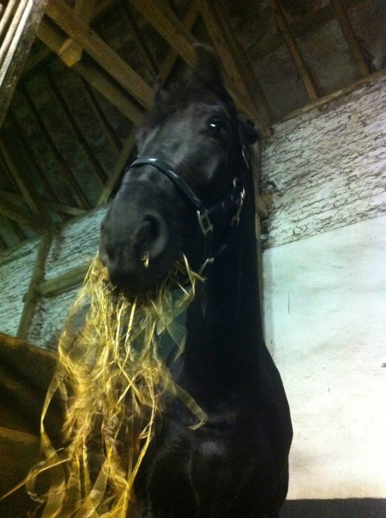 Юлия Зинова | Düsseldorf