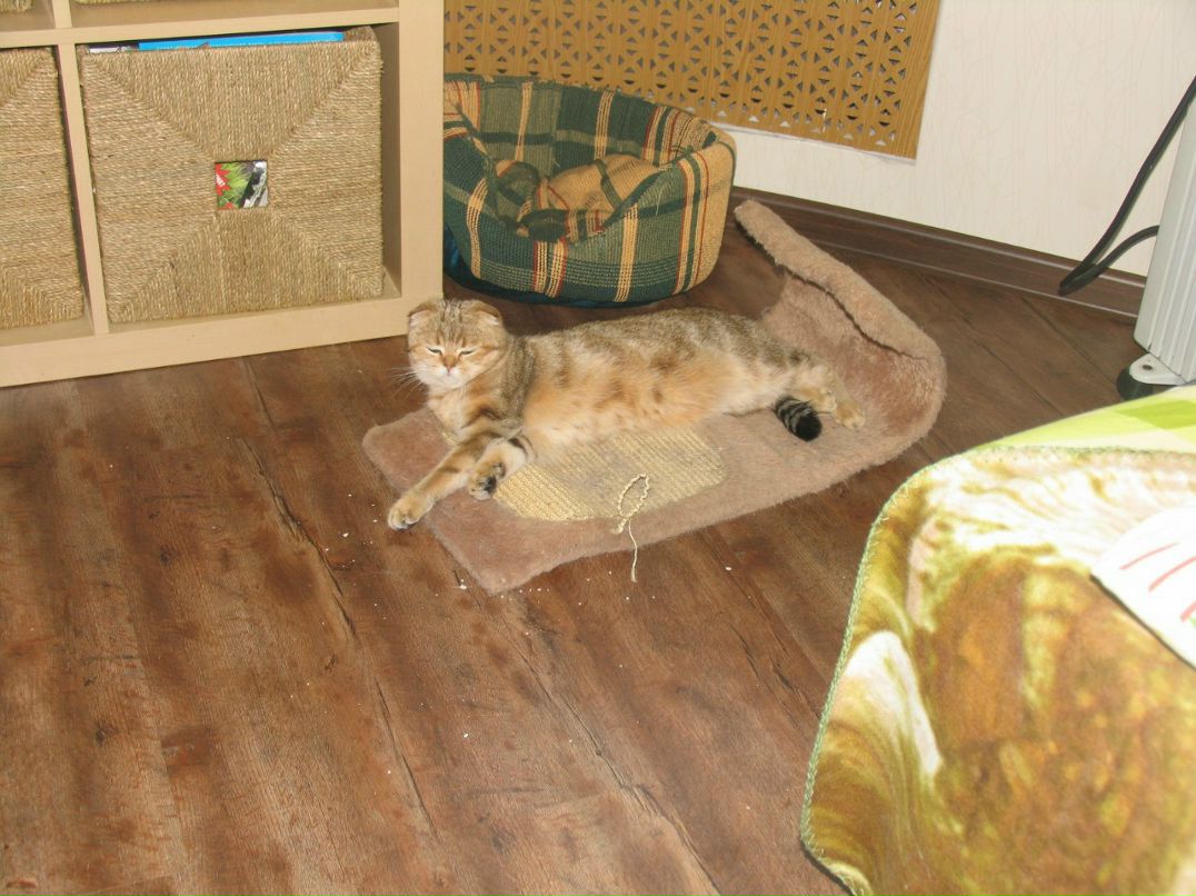 Евгений Фролов Свет Михайлович | Москва