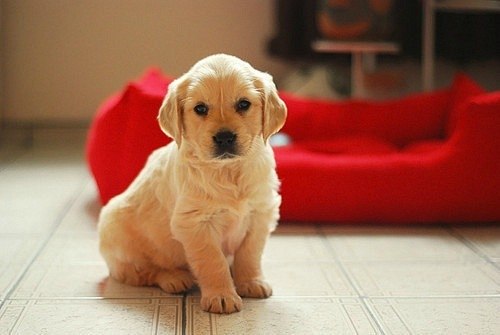 №120, Екатерина Яшина, 35 лет, Тольятти №120, Екатерина Яшина, 35 лет, Тольятти